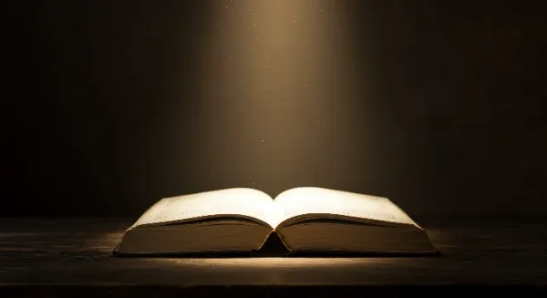 Life Application Study Bible